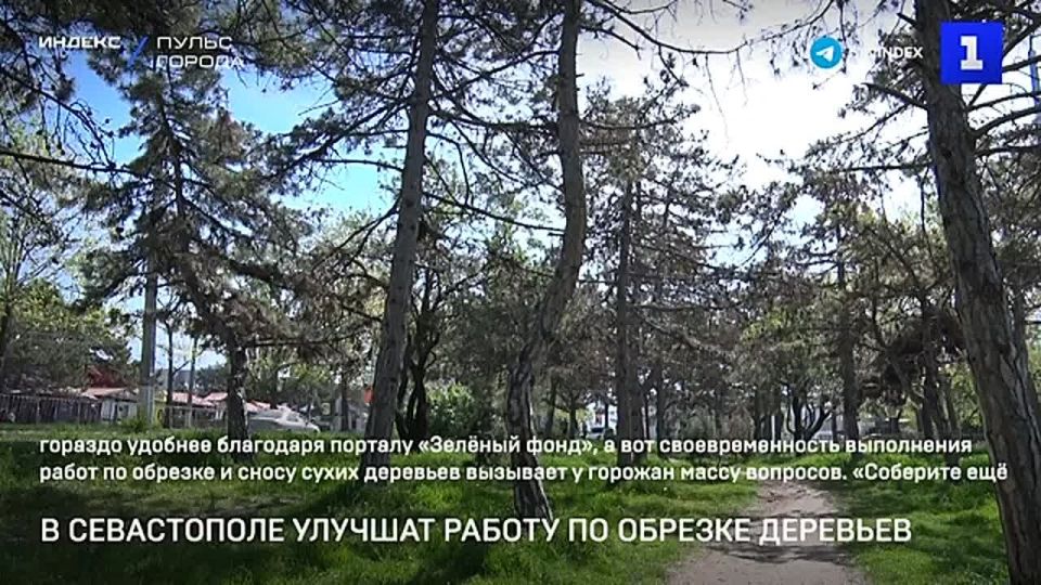 � ����������� ������ �������� �� �������� �������� �� ������