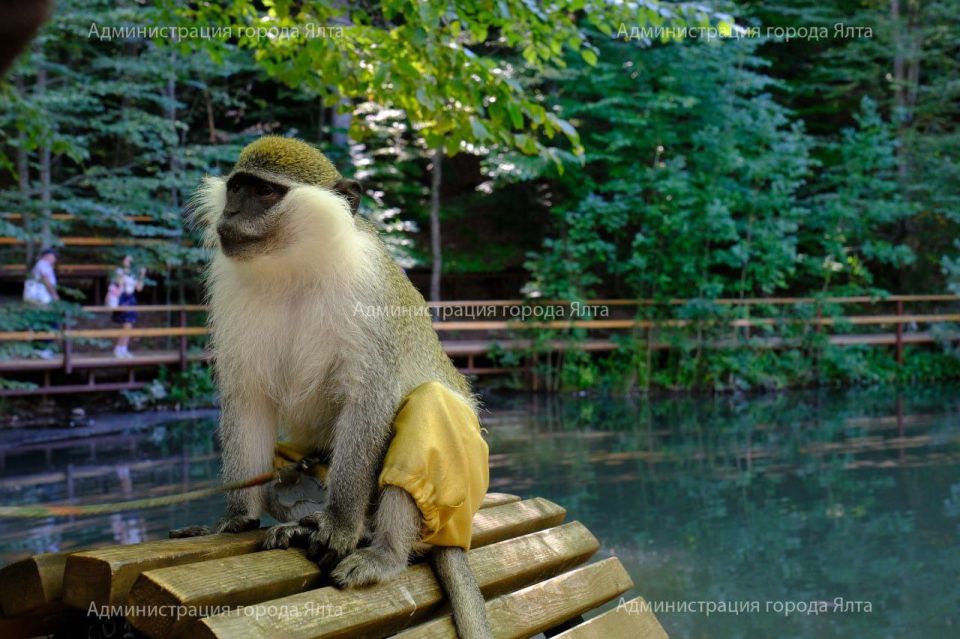 ���������� ���������� � ���� ������ ����������: � ��� ������ ������������ ��������