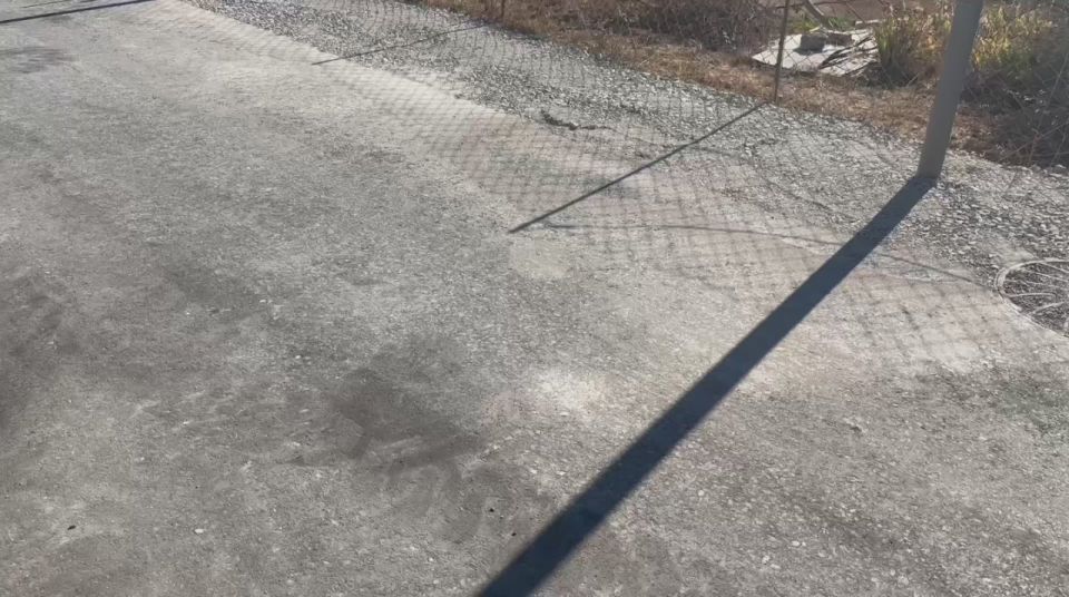 �������� ������: ��������� ������ �� ��������������� ������ �� ����� ������������