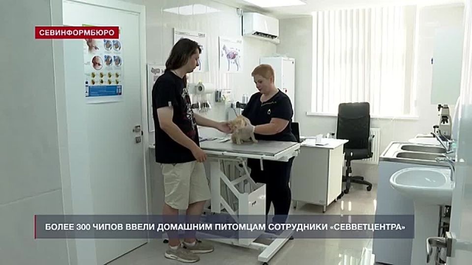 ����� 300 �������� �������� � ����������� ������ �����������