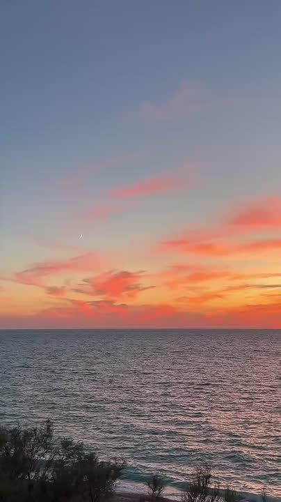 #�����������������. �����: ������� ��������� �� ���-������������