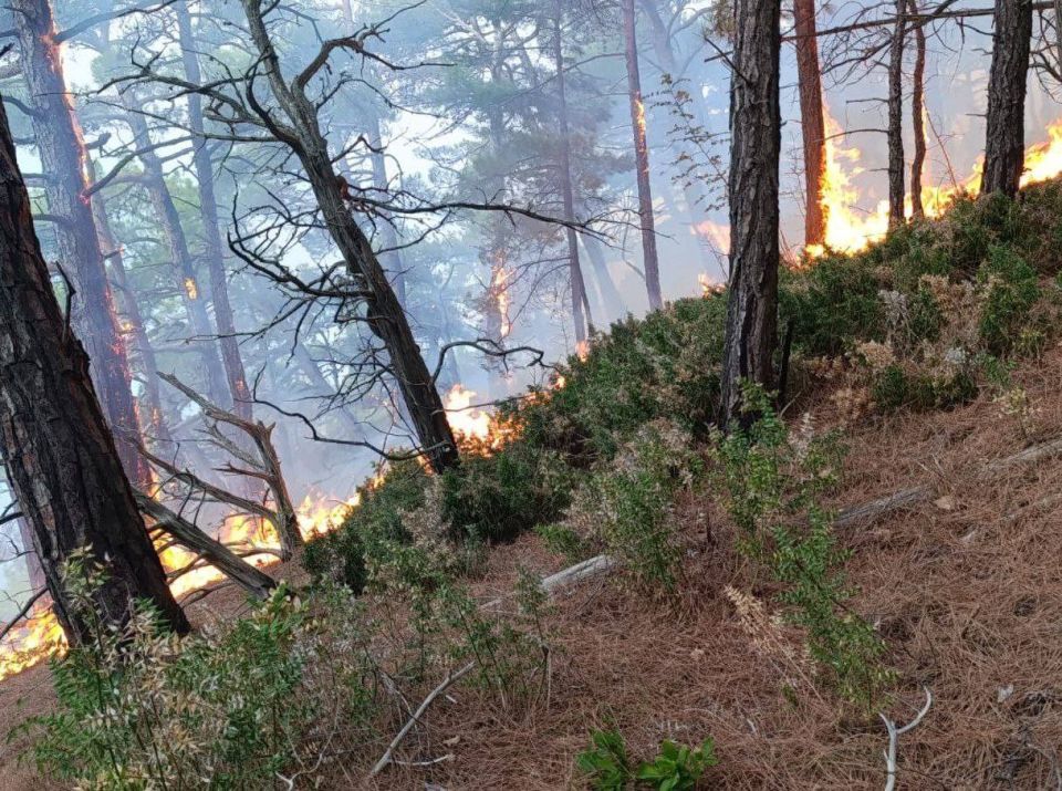 �� 17 �� ����������� ������� ������� ������ � ���������� ����� ������� �������� ���� � ���