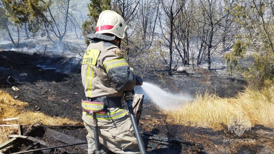 Пожар площадью 5 тысяч квадратных метров вблизи Севастополя тушат силы МЧС России
