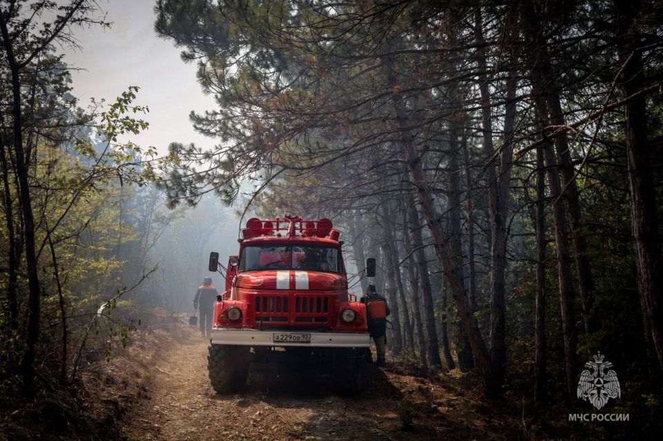 ����� � ������ �������� ������� ��������� �������� � ��� �����������