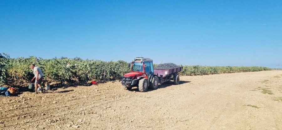 ��������������� ����������� ������� ����� 1,5 ����� ���� ������������ ���������