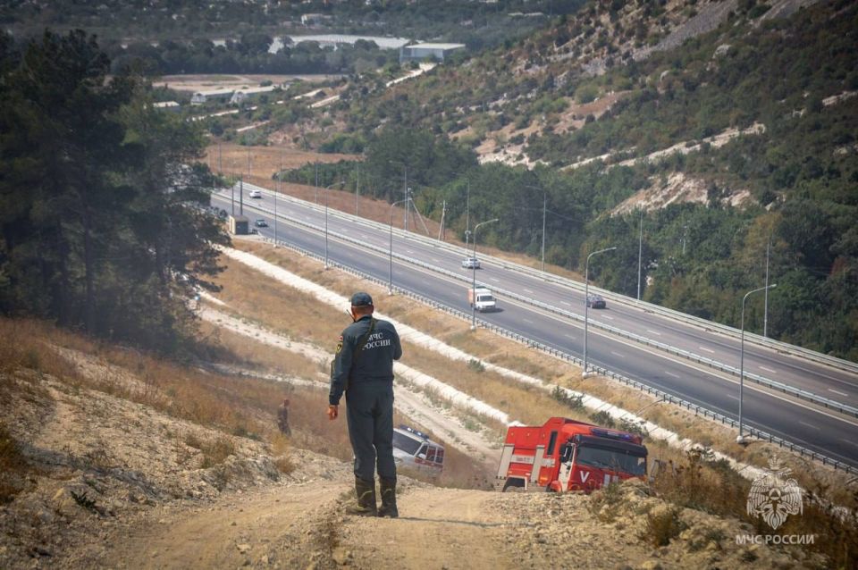 ����� � ������ �������� ������� ��������� �������� � ��� �����������