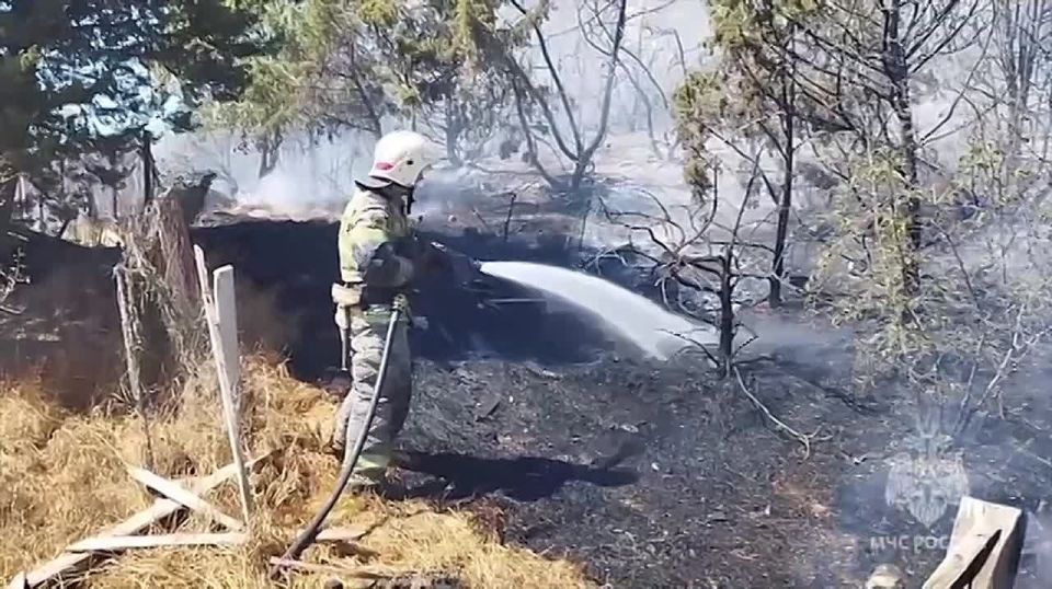 Пожар в районе посёлка Сахарная головка локализовали