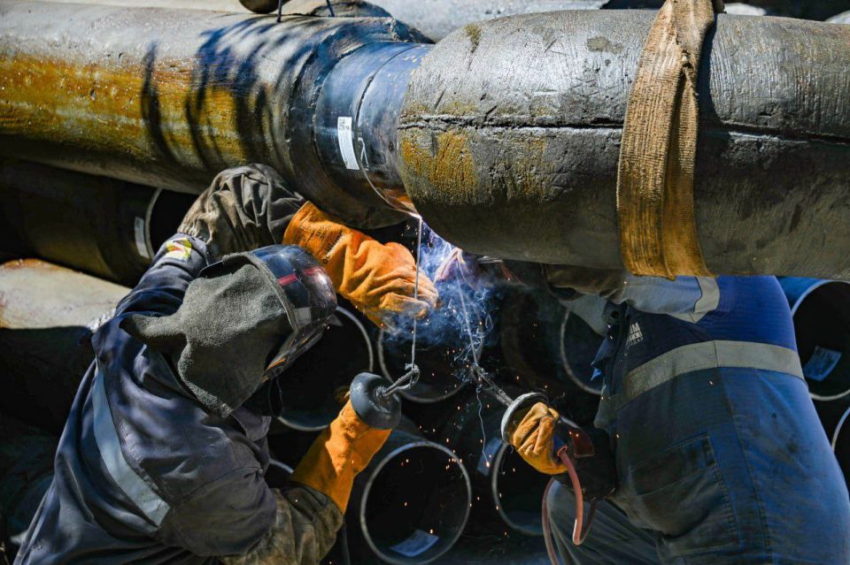 ������ �� ������������� �������� ���� �� ��������� �� ����� ������� �������� �� �������� ������, ������������� �� ���� �� �����, ��������� �� 40%.