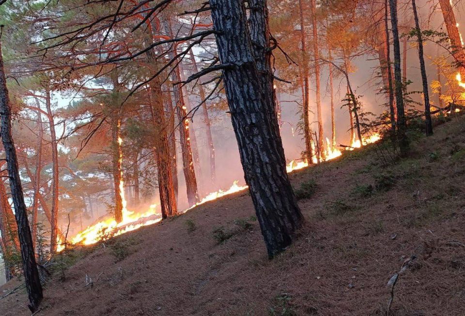 �� 17 �� ����������� ������� ������� ������ � ���������� ����� ������� �������� ���� � ���