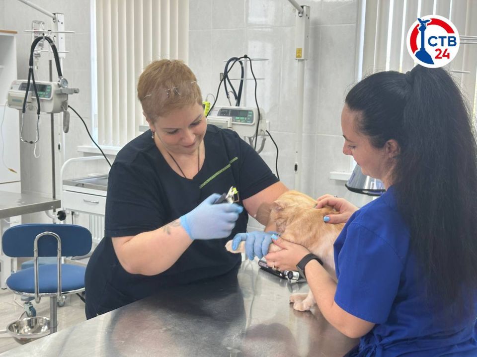 � ����������� ���������� ����������� � ���������������� ����������