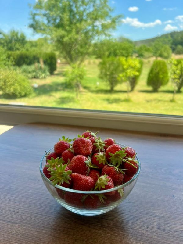 ������� ������ � ����� �� 28 �������