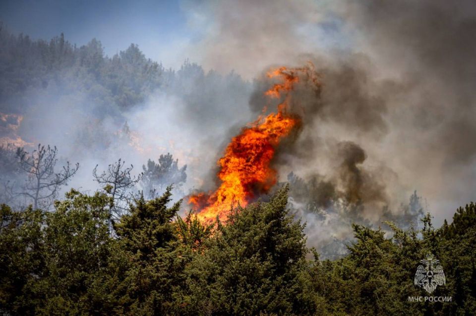 Кадрами тушения пожара в районе Сахарной Головки поделились севастопольские спасатели Кадрами тушения пожара в районе Сахарной Головки поделились севастопольские спасатели