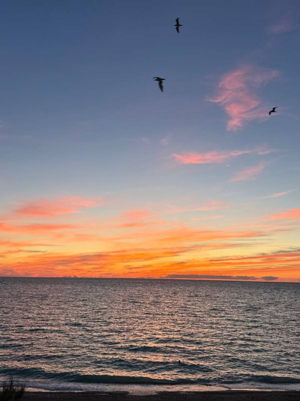 #ЗакатыСевастополя. Фото: Надежда Подпишись на «КП-Севастополь»