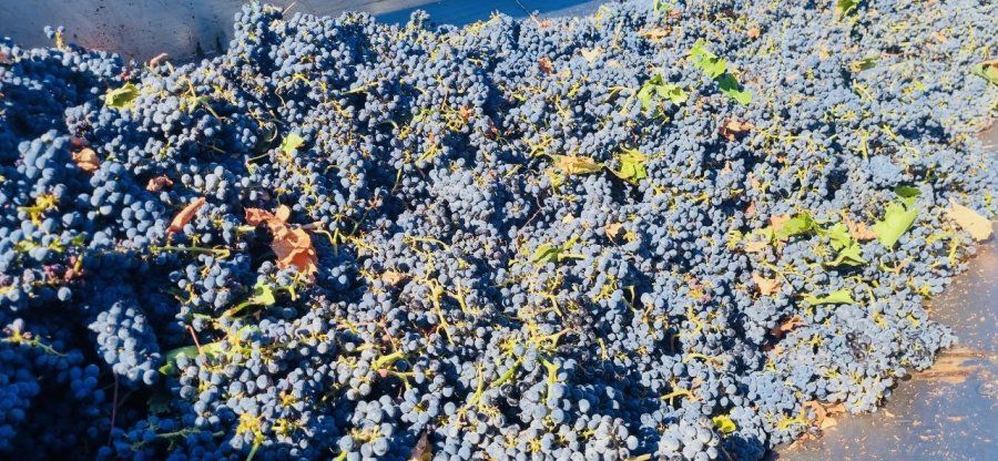 ��������������� ����������� ������� ����� 1,5 ����� ���� ������������ ���������