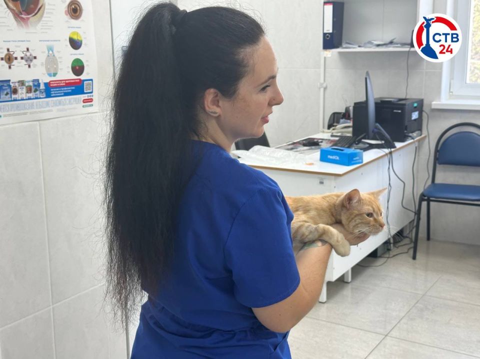 В Севастополе поздравили ветеринаров с профессиональным праздником