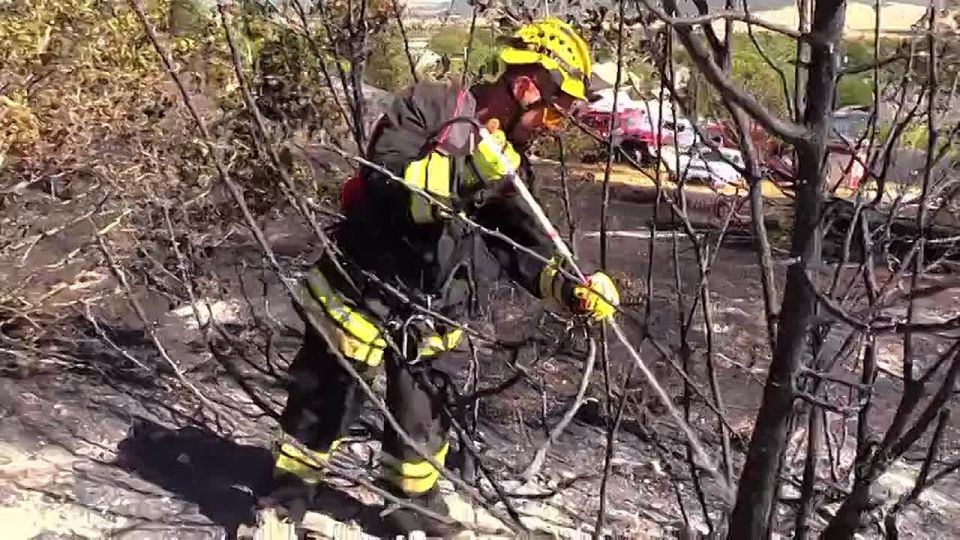 �������� � ���� ��� �������� ������ ����� ��� ������������