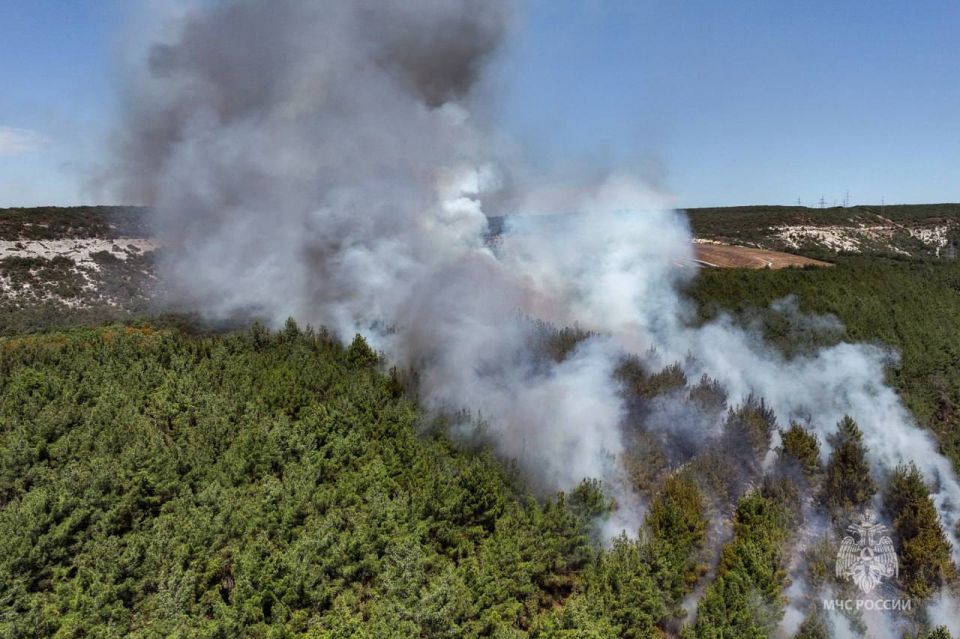 ������� ��� ����� ����� � ������ �������� ������� ������� ����