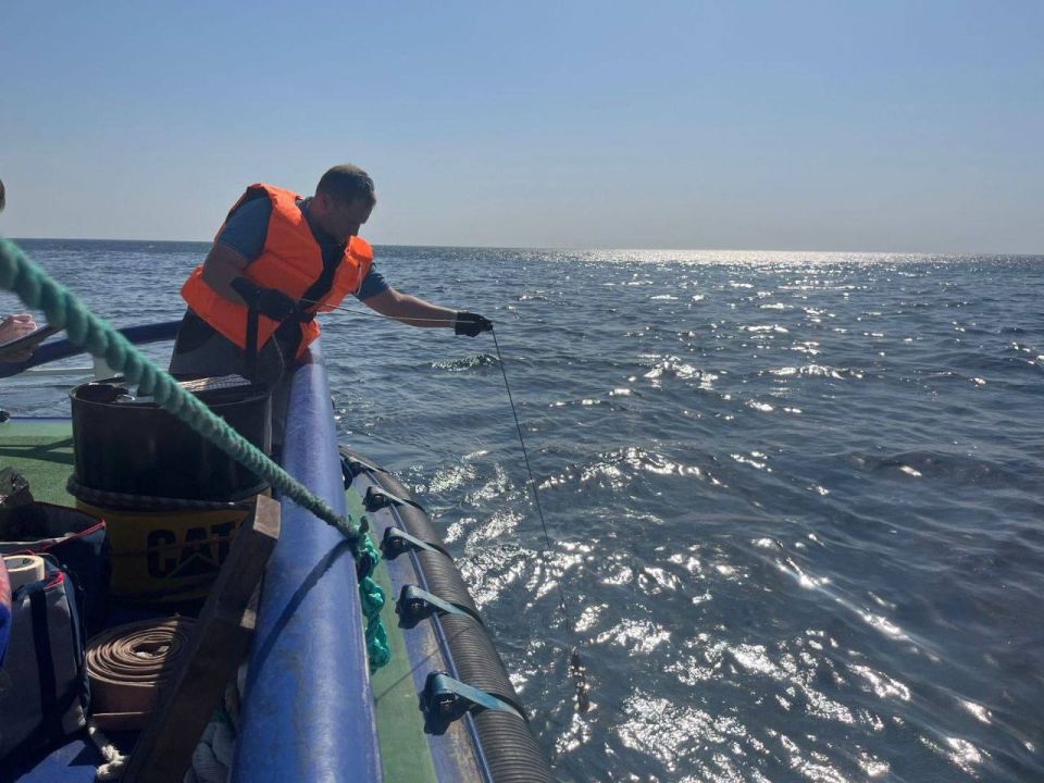 � ��������� �������� ����� ������������ �� ����� �������� ������� ��������� ������ ����� � ���������������