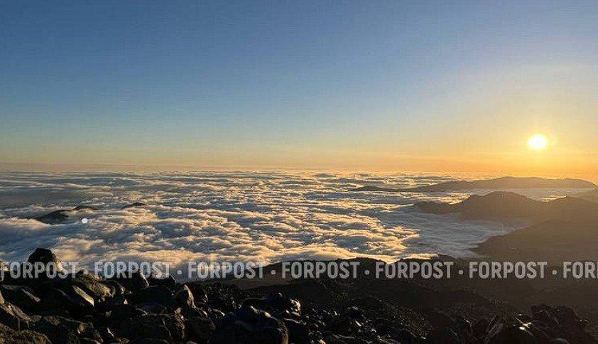 ��� ��� ����� � ���������� ������������ �����������, ��������� �������. ��������� ����������� �� ������ ������ � �����, � ��� �����������. �� ������ ����� ���� ����� ������ ������� ������� � ��������� ������ ����� ����...