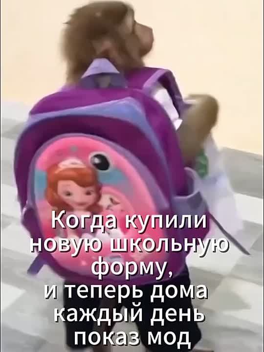   :   ,    