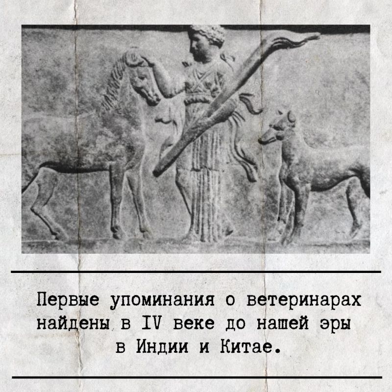 �� ��� ������������� ��������� �� ����������� �������� � ���, ��� ����������� �����������