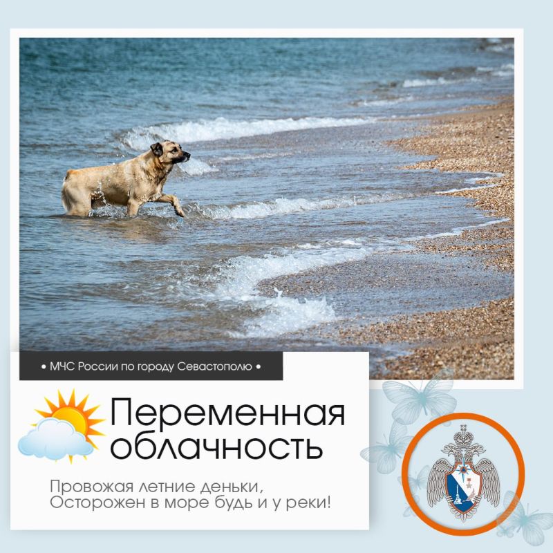 Доброе утро, Севастополь!. По данным гидрометцентра, 31 августа в Севастополе будет переменная облачность