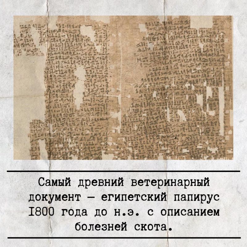 �� ��� ������������� ��������� �� ����������� �������� � ���, ��� ����������� �����������