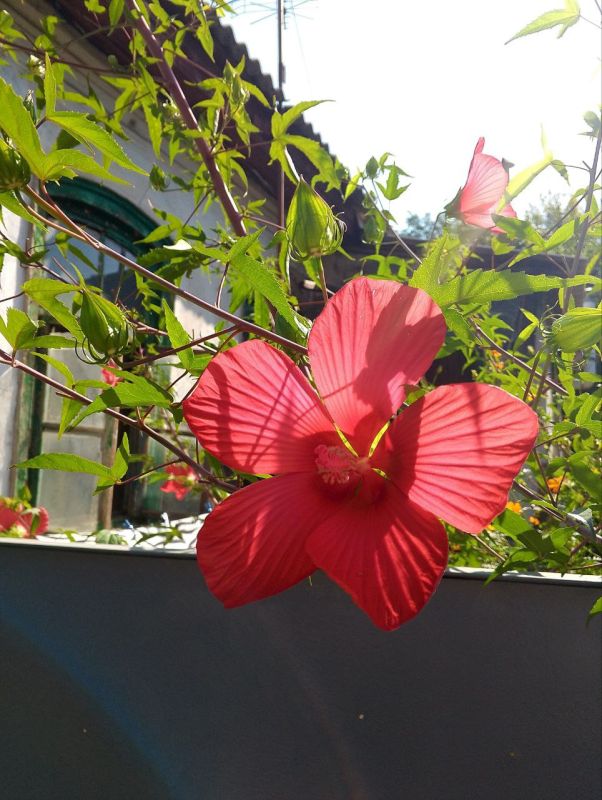 Доброе утро, Севастополь!. 31 августа в Севастополе осадков не ожидается