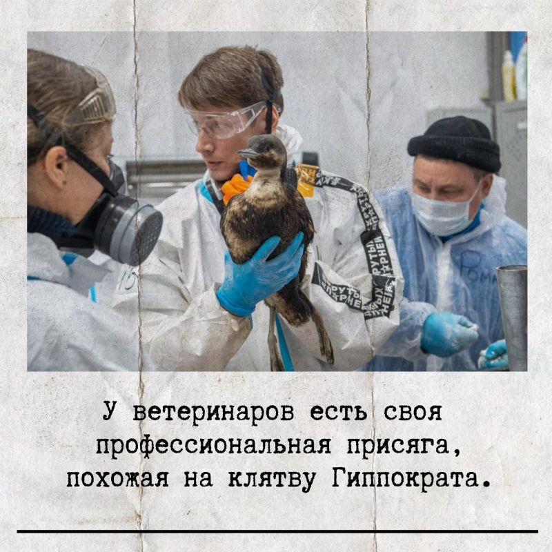 �� ��� ������������� ��������� �� ����������� �������� � ���, ��� ����������� �����������