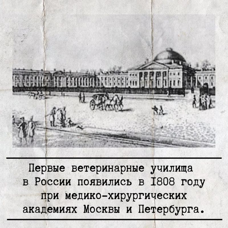 �� ��� ������������� ��������� �� ����������� �������� � ���, ��� ����������� �����������