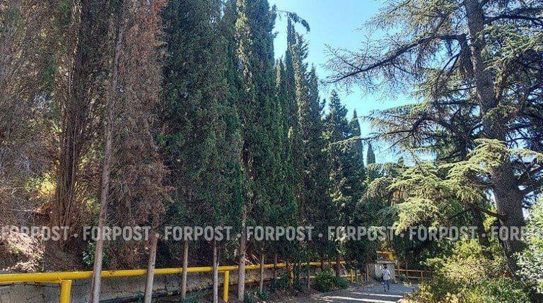 ����� �������� ��� ������� ������� ���������� � �����