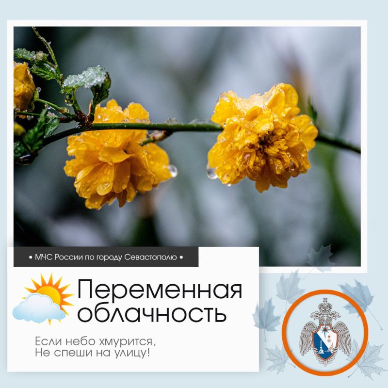 Доброе утро, Севастополь!. По данным гидрометцентра, 2 сентября в Севастополе будет переменная облачность