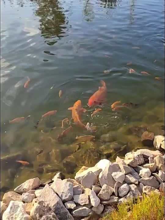     !