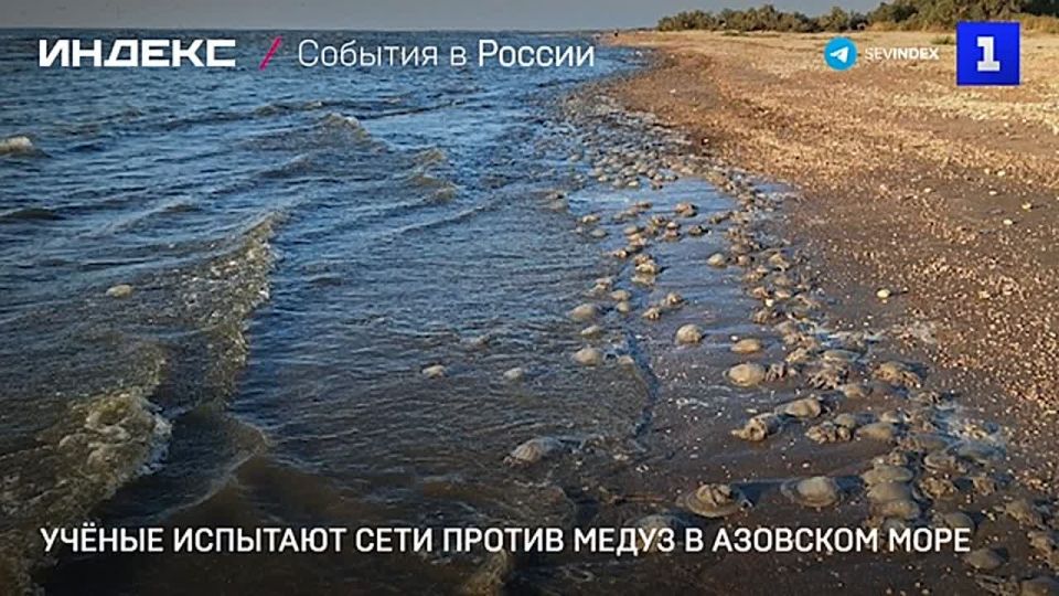 �������� � ���������� ����� � �������� ���� �������� ��������������� ������