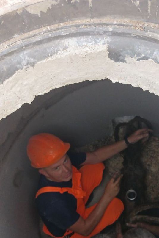 ���������: ������� �������. ��������-��������� ������ �� ����� �������������