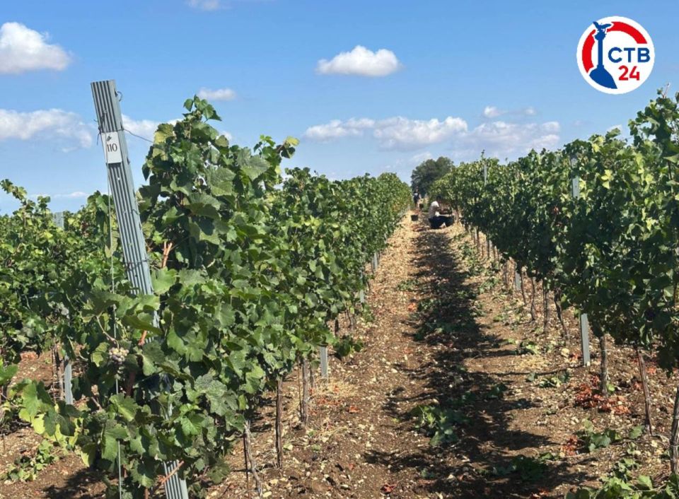 � ����������� ��������� ����� ���������� �������� ����������������