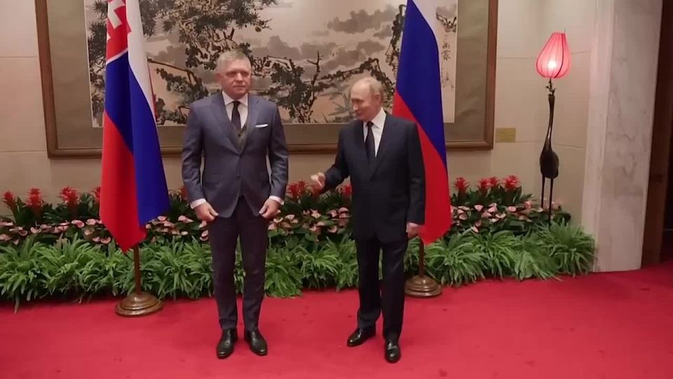 ����� �������� ������� � �������-��������� �������� ����