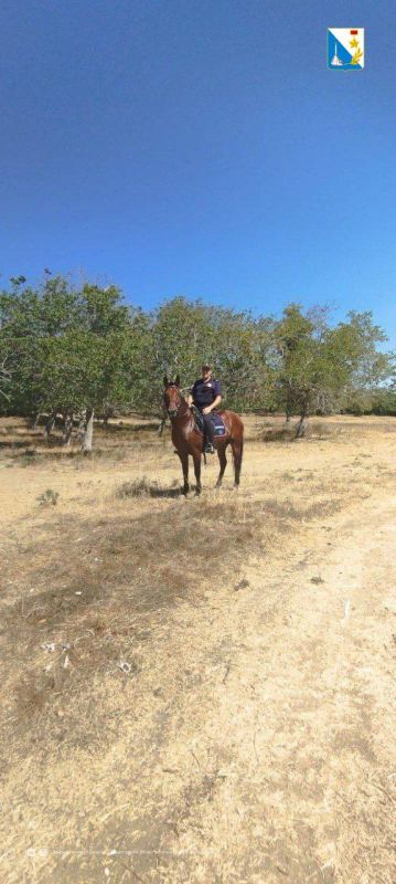 ��������� � ����. ���������� ����������� � ������ ������� ������� ���������� ���� �� �������� ������ ���������� � �������� ������� ���������������� ������