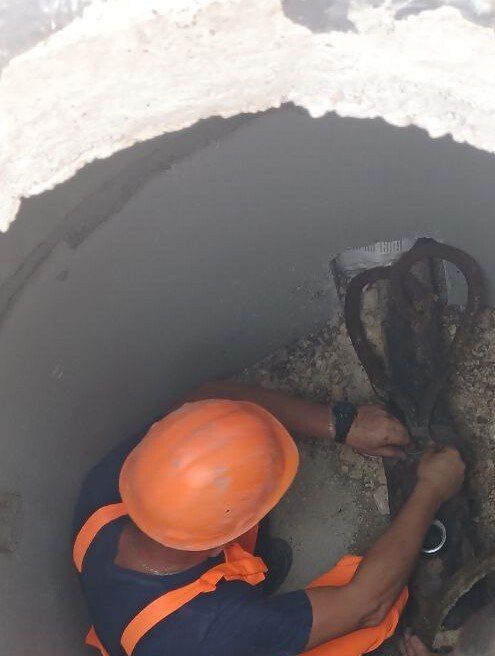 ���������: ������� �������. ��������-��������� ������ �� ����� �������������