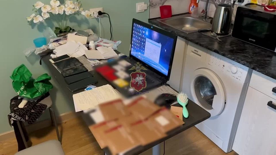 Гостям в нашем городе всегда рады, хоть иногда они приезжают к нам и не по своей воле