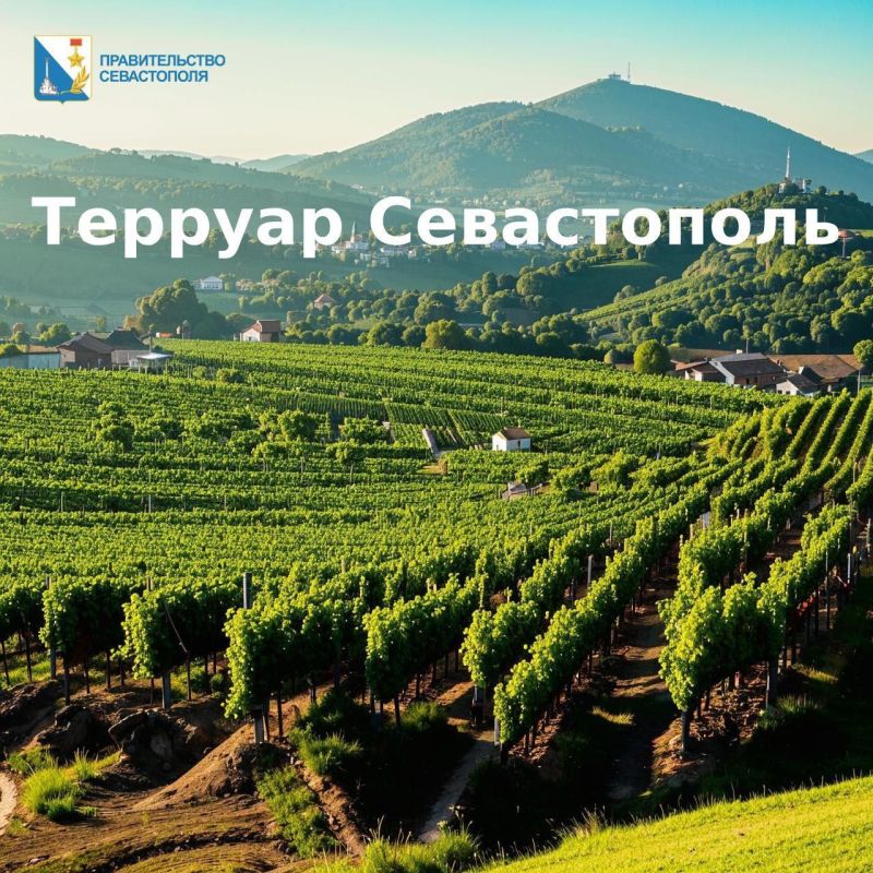 �� ��������� ����������� � ����� 3 ��������!