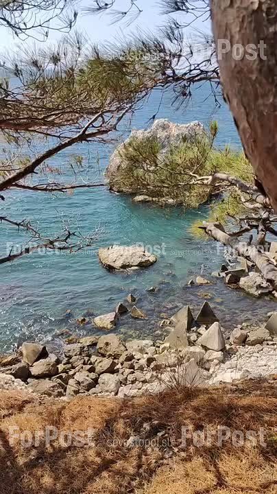 ������� ������� �� ������ � ������������ ��������� ����������