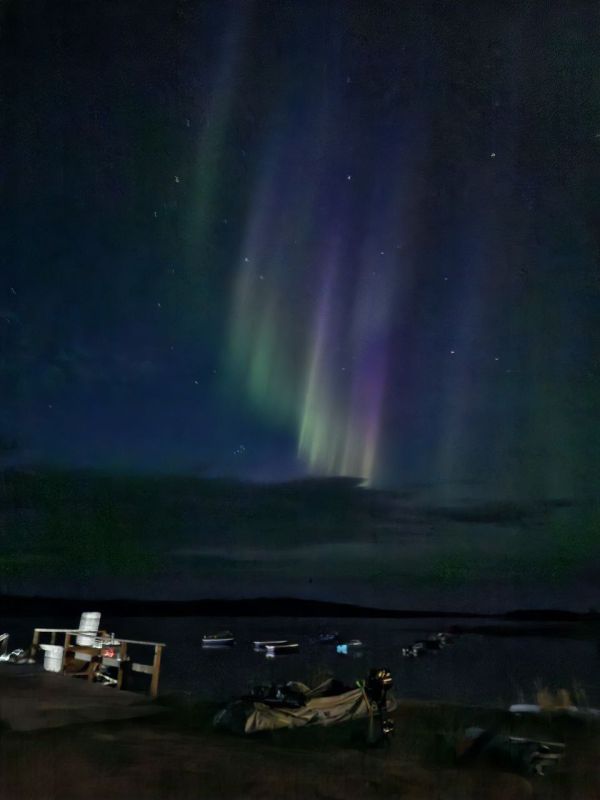 ��������� ���� ������ ������ � ���� �������� �� �������� �������� ������ ������� �������� ��������� ������