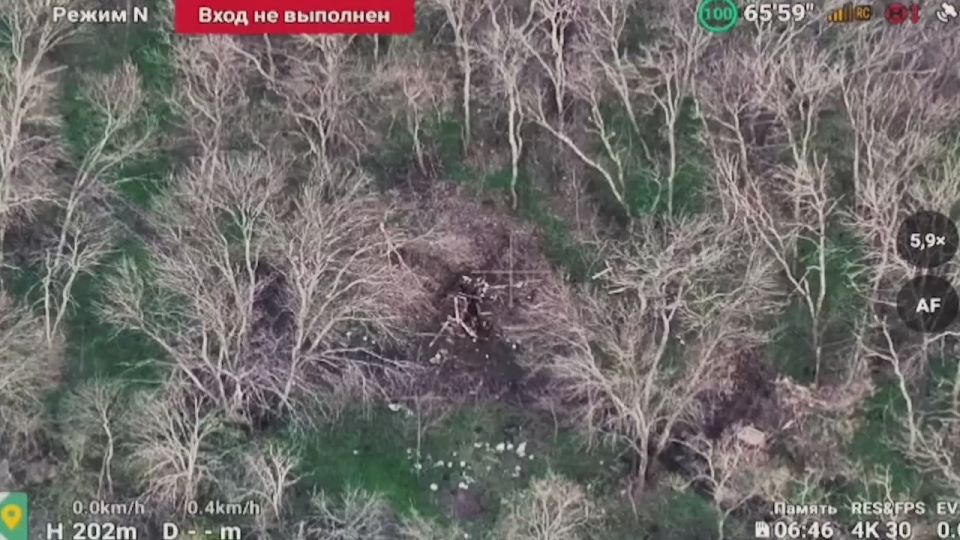 ������� ����� �����: ��� �������� ������ ��������� � �������� � ���� � ����������� � ����������� �� ������������ ����������� ���