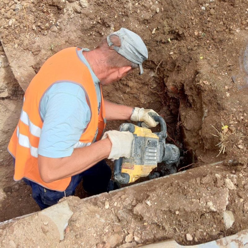 ���������: ������� �������. ������ ���������������� ������� � ��������������� ���� �� ��. ���������