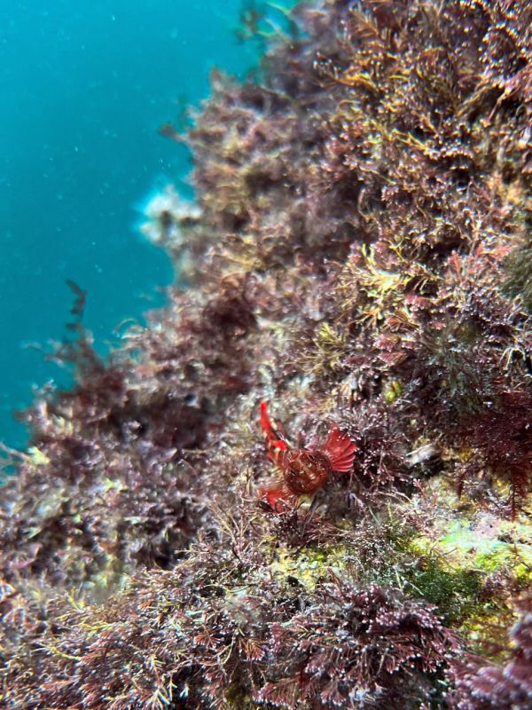 ��������� ��� � ������� �����������