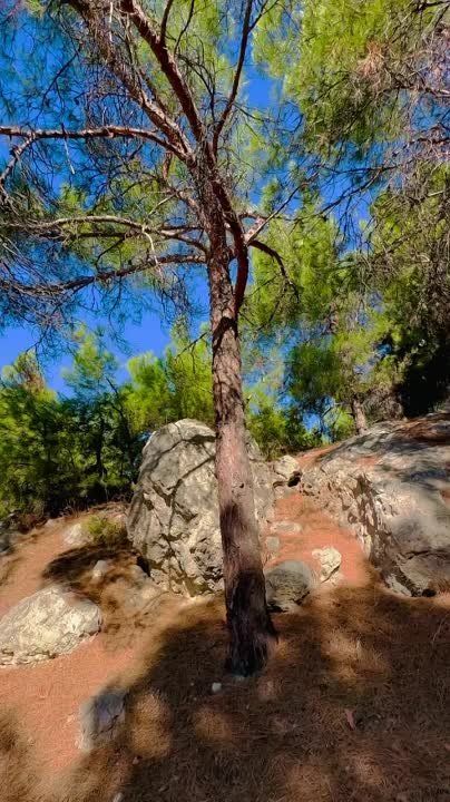 ��� ����� ������ ������: ������� � ���� ������������