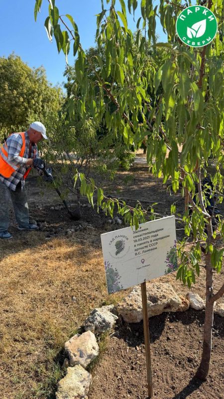 ���������� ������� � ������� ��������� �� ����������� ��������� � ����� ������