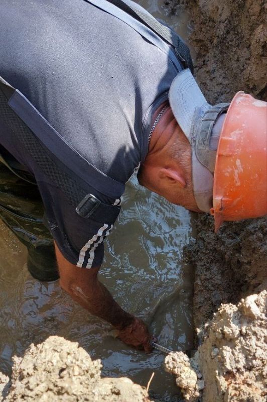 ���������: ������� �������. ������ ������� ���� �������������