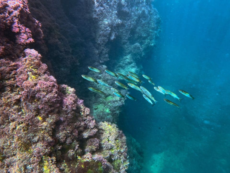 ��������� ��� � ������� �����������